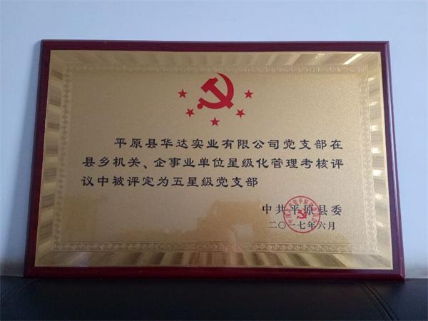 华达实业有限公司党支部被评为五星级党支部！