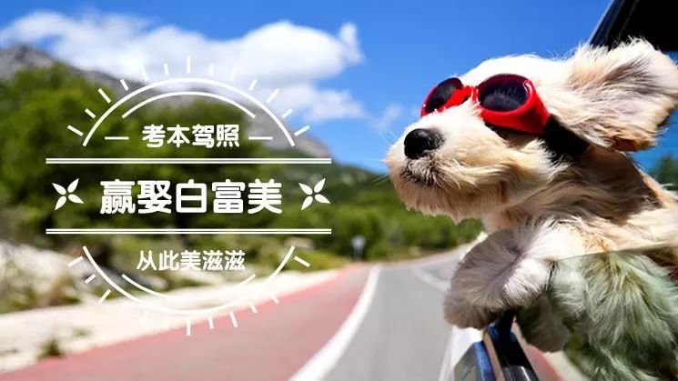 这个暑假我做主！7月快乐学，9月轻松拿！