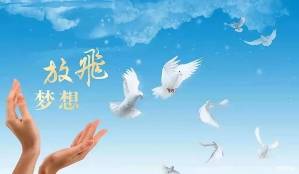2019年8月德州市各驾校科考试合格率